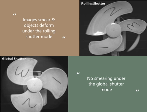 CE Area Scan Camera